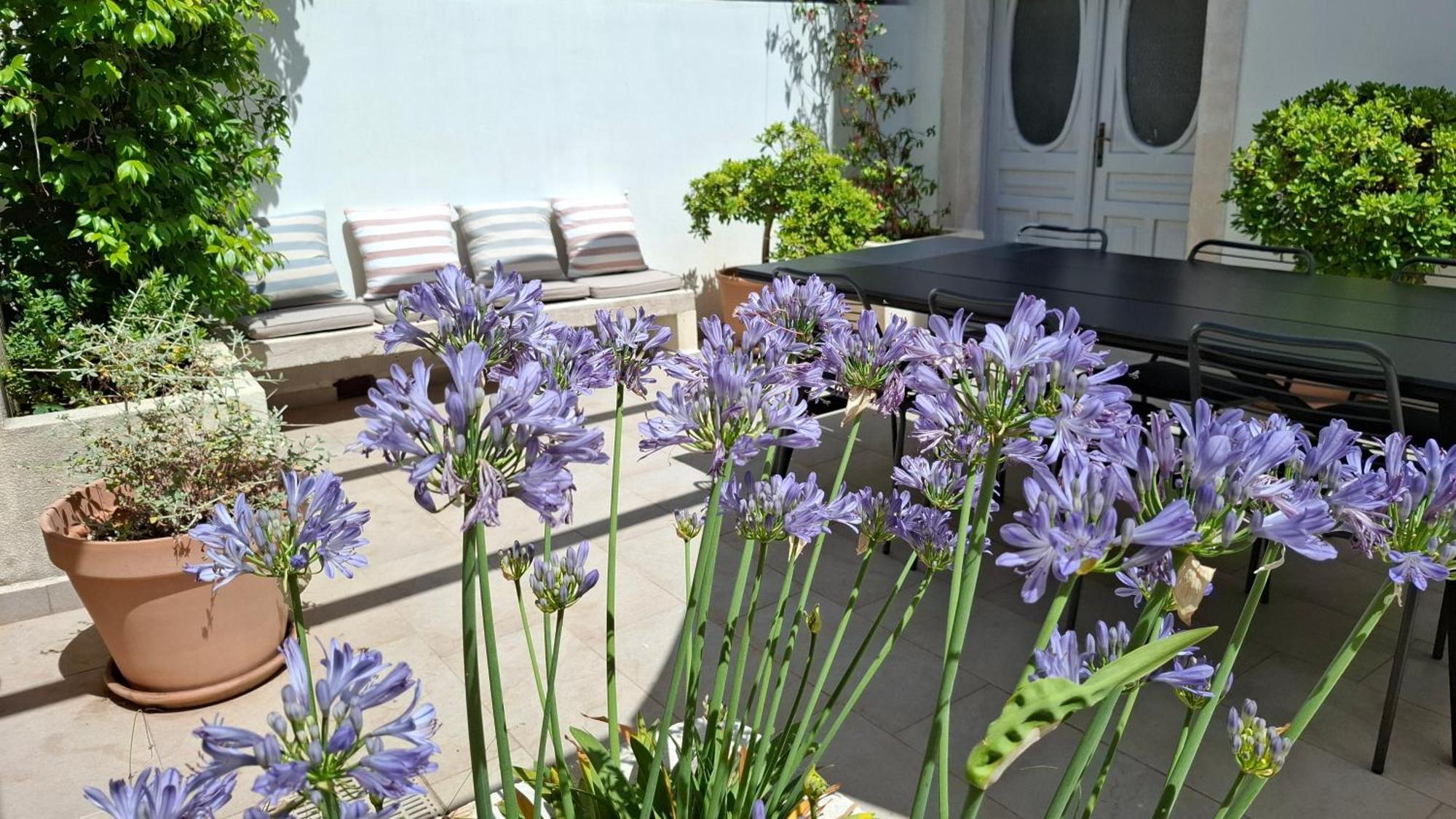 Villa Mira With A Heated Pool And A Sea View Bozava Bagian luar foto